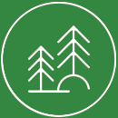 trees icon image