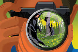 Taking a photo of bears (Illustration by Pete Ryan)