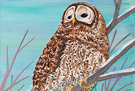 Barred owl (Illustration by Ashley Barron)
