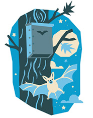 Be batty (Illustration by Belle Wuthrich)