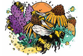 Bee-friendly garden (Illustration by Cory Proulx)