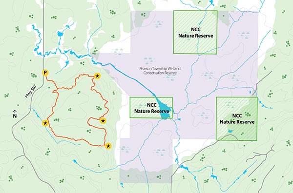 Pearson Township Wetland (Map by Jacques Perrault)