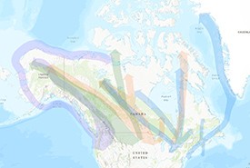 Les quatre principaux corridors migratoires (Pacifique (violet), Centrale (vert), Mississippi (orange), Atlantique (bleu)).