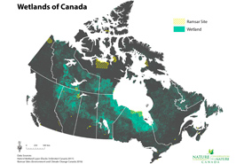 Map of wetlands in Canada (NCC)