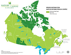 Canadian distribution of American black bear (Map by NCC)