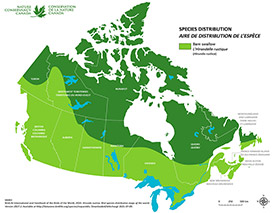 Distribution of barn swallow in Canada (Map by NCC)
