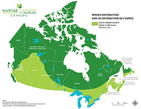 Canadian distribution of brown-headed cowbird (Map by NCC)