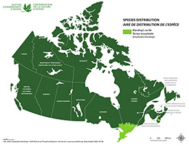 Canadian distribution of Blanding's turtle (Map by NCC)