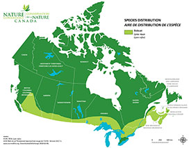 Canadian distribution of bobcat (Map by NCC)