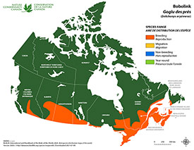 Canadian distribution of bobolink (Map by NCC)