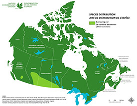 Canadian distribution of burrowing owl (Map by NCC)