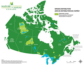 Canadian distribution of deepwater sculpin (Map by NCC)