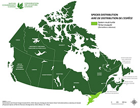Canadian distribution of eastern musk turtle (Map by NCC)