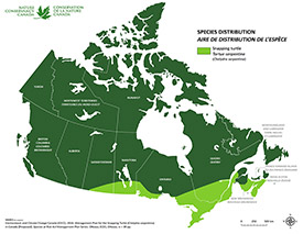 Canadian distribution of eastern snapping turtle (Map by NCC)