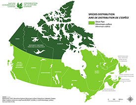 Canadian distribution of ghost pipe (Map by NCC)