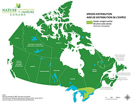 Canadian distribution of golden-winged warbler (Map by NCC)