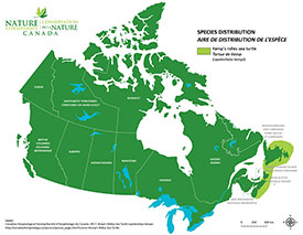 Canadian distribution of Kemp's ridley sea turtle (Map by NCC)