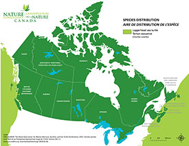 Canadian distribution of loggerhead sea turtle (Map by NCC)