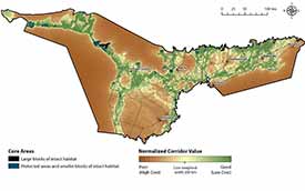 Example of detailed mapping that is available for many ecoregions. Wildlife connectivity for the Manitoulin-Lake Simcoe ecoregion. (Map by NCC)