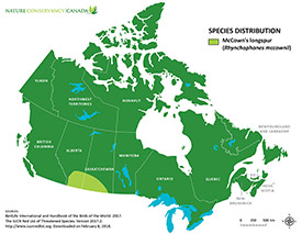Canadian distribution of McCown's longspur (Map by NCC)