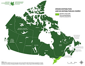 Canadian distribution of northern map turtle (Map by NCC)