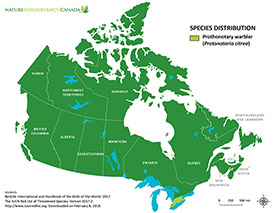 Canadian distribution of prothonotary warbler (Map by NCC)