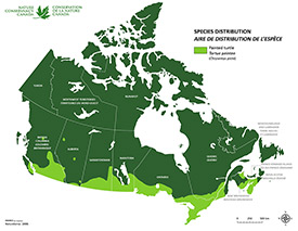 Canadian distribution of painted turtle (Map by NCC)