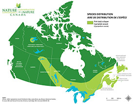 Canadian distribution of pink lady's-slipper (Map by NCC)