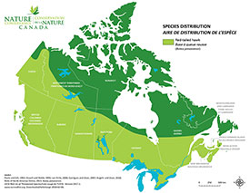 Canadian distribution of red-tailed hawk (Map by NCC)