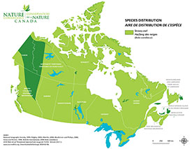 Canadian distribution of snowy owl (Map by NCC)