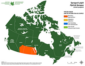 Canadian distribution of Sprague's pipit (Map by NCC)