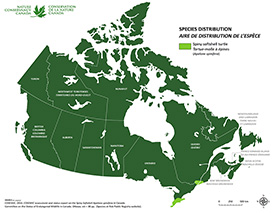 Canadian distribution of spiny softshell turtle (Map by NCC)