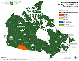 Canadian distribution of thick-billed longspur (Map by NCC)
