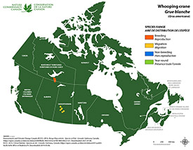 Distribución de la grulla blanca en Canadá (Mapa del NCC)