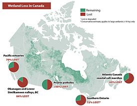 Wetland loss in Canada (Map by NCC)