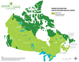 Canadian distribution of wood frog (Map by NCC)
