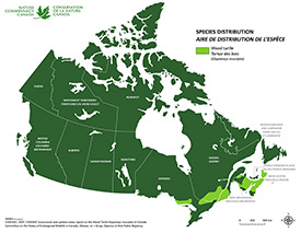 Canadian distribution of wood turtle (Map by NCC)