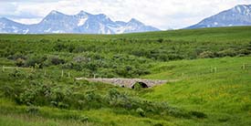 Marsh Ranch, AB (Photo by Carys Richards / NCC)