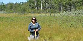 Planting milkweed, Asquith, SK (Photo by Ruth Thompson)