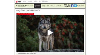 Takaya: Lone Wolf video