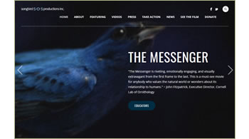 The Messenger video