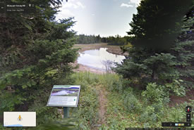 Musquash : Sentier Five Fathom Hole Trail, Nouveau-Brunswick (Google Streetsview)