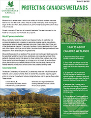 Wetland fact sheet