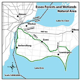 Essex Forests and Wetlands Natural Area map - click to enlarge