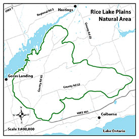 Rice Lake Plains Natural Area map