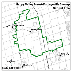 Happy Valley Forest - Pottageville Swamp Natural Area map - click to enlarge