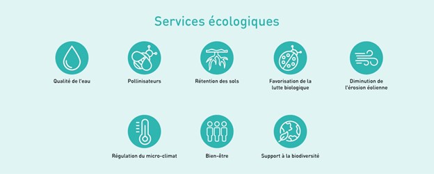 Ecological services (NAQ)