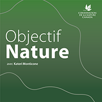 Balado - Objectif Nature