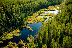 Birch River, AB (Photo by Carys Richards)