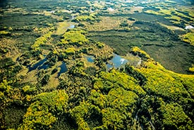 Birch River, Alb. (Photo de CNC)